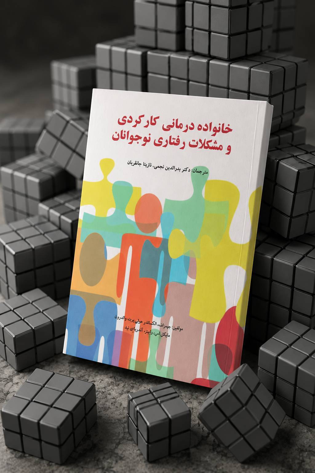 file_00000000a1047246a86c0509fc6cd0b9 کتاب خانواده درمانی کارکردی و مشکلات رفتاری نوجوانان - تصویر 1